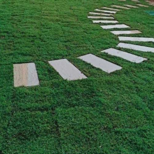 فيلا خاصة جدة