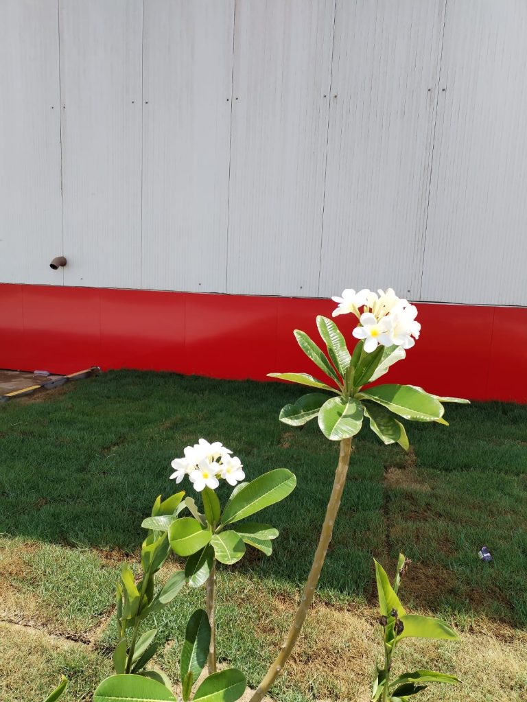 47e302aa-5e58-41b3-b0fc-a6420d65c45c